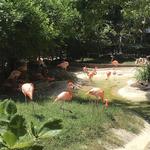 Zoológico de Barranquilla
