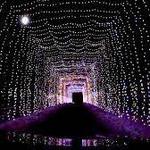 Country Christmas Light Show