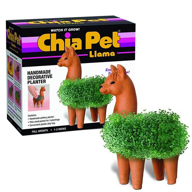 Chia CP439-01 Pet Llama Decorative Pottery Planter, Easy to Do and Fun to Grow