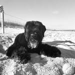 Myrtle Beach State Park