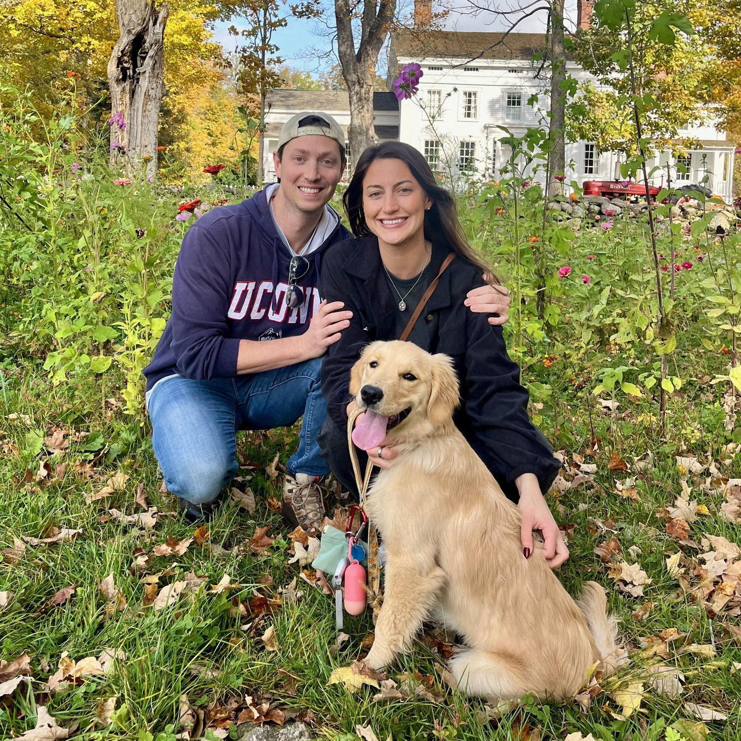 Becoming dog PAWRENTS!