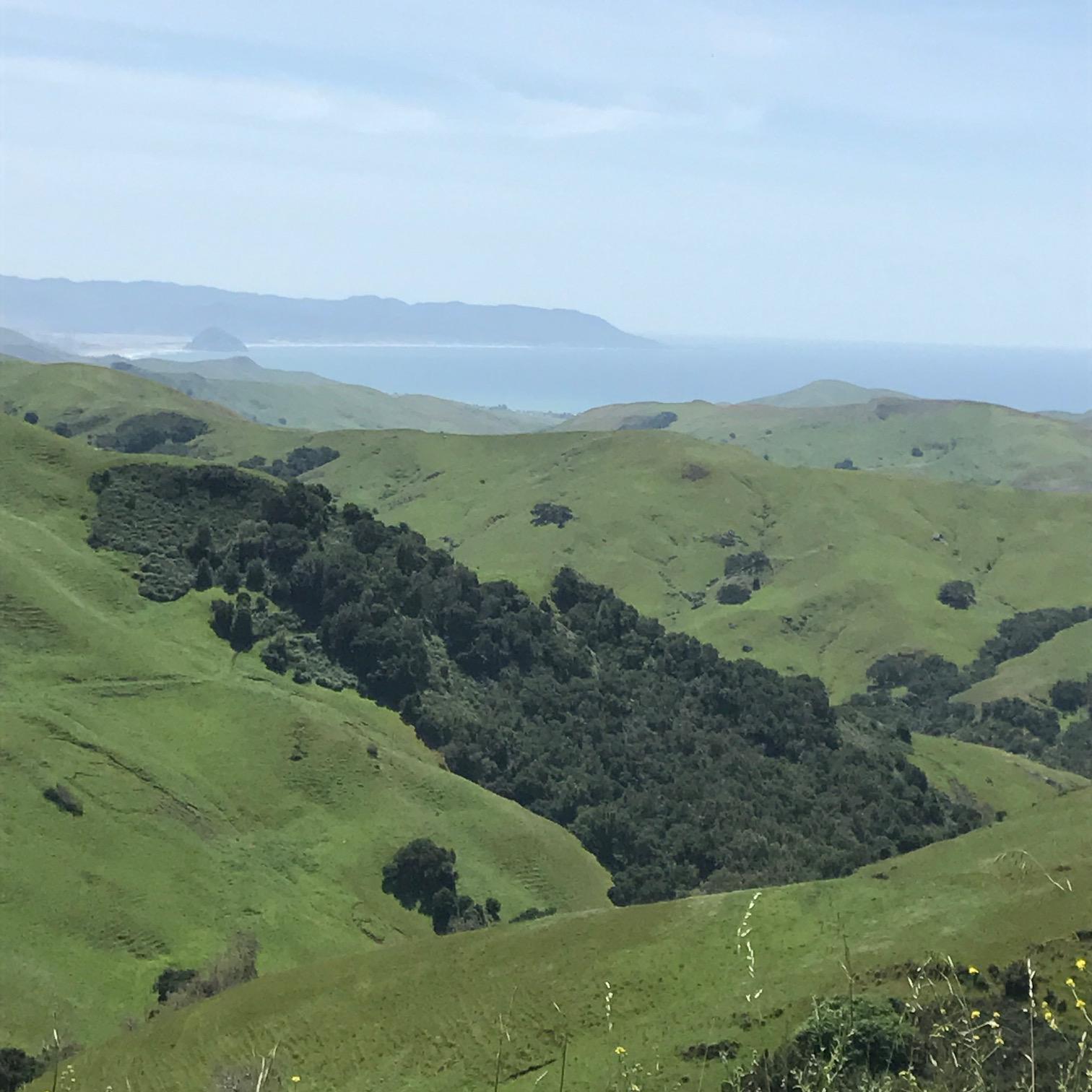 Stopping to take in the scenery on one of our many trips!