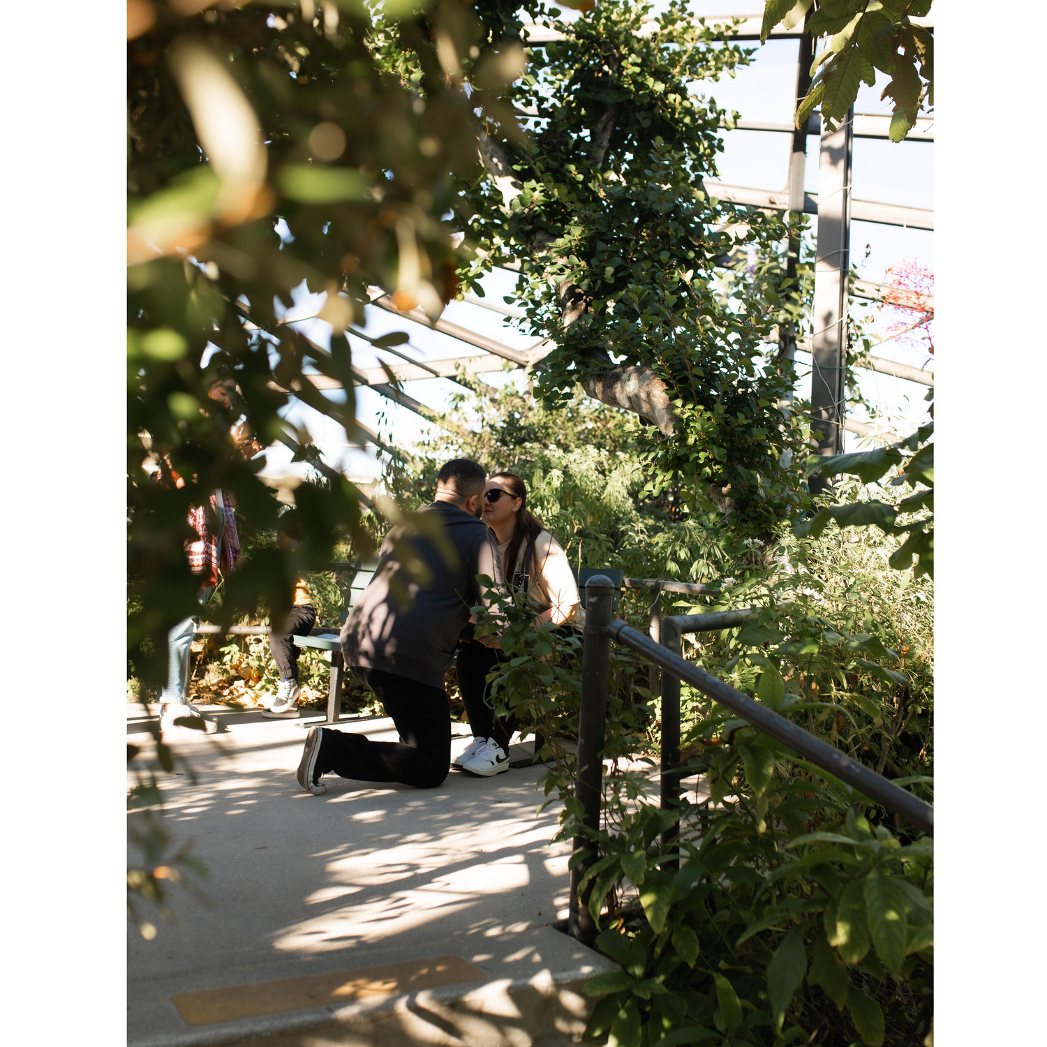 November 23, 2024- William popped the question at Butterfly World