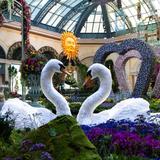 Bellagio Conservatory & Botanical Gardens