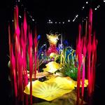 Chihuly Garden and Glass
