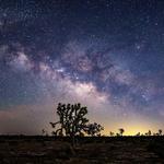 Joshua Tree National Park