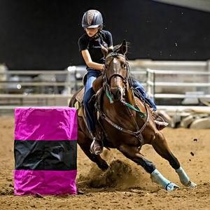 Ell's Vegas Rodeo Fund