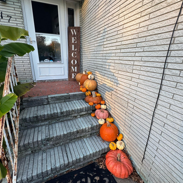Jimmie & Emily “new-to-us” Home Renovation Fund