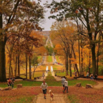 Percy Warner Park Stairs