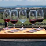 Wine Tasting in Woodinville