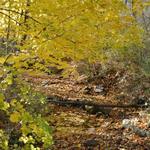 Tyler State Park