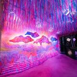 Meow Wolf Denver's Convergence Station