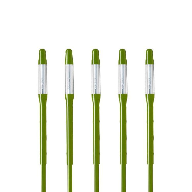 Sustee Aquameter, Set of 5, Plant Soil Moisture Sensor (Green, Medium)