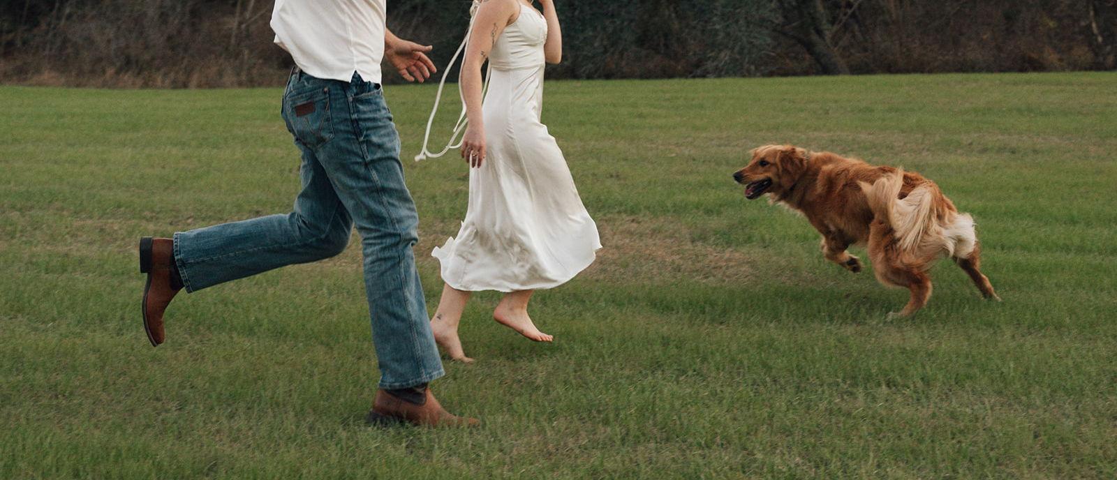 The Wedding Website of Ashlynn Mikulenka and John Sivy