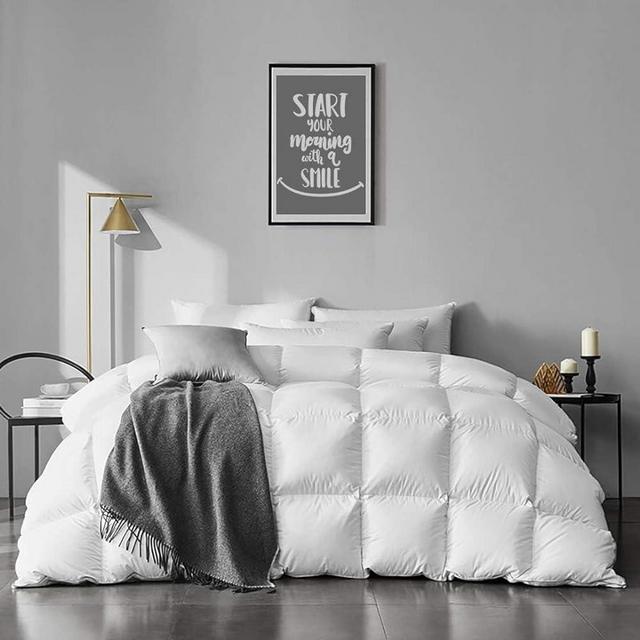 APSMILE Oversized Queen Goose Feather Down Comforter - Ultra Soft All Seasons 100% Organic Cotton Feather Down Duvet Insert Medium Warm Quilted Bed Comforter with Corner Tabs (98x98, Ivory White)