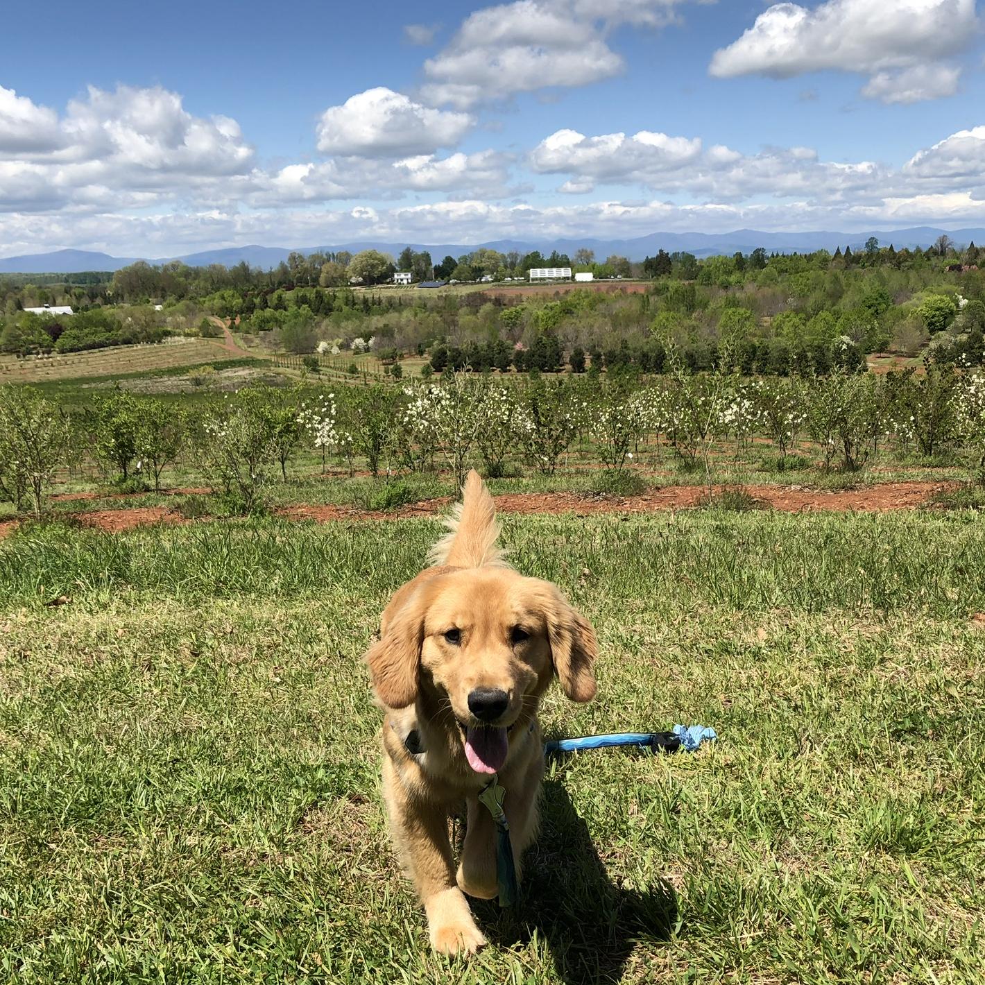 Day Trip to Ellie’s Favorite Winery