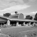 Virginia Farm Market