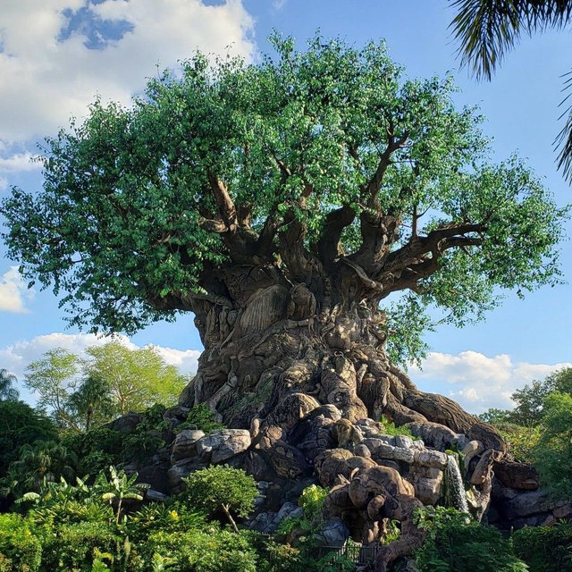 2 Day Tickets to Animal Kingdom x2