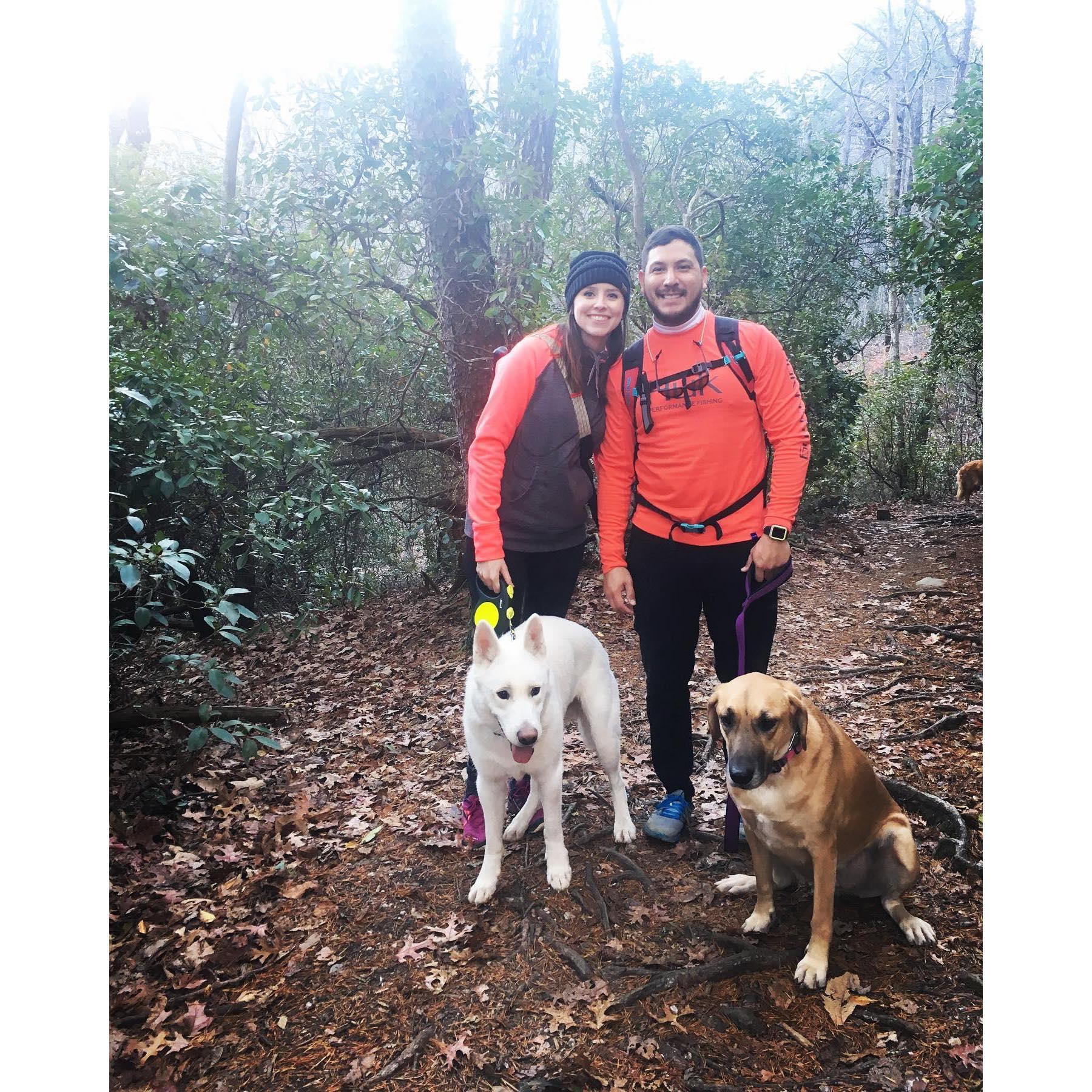 Talladega National Forest 2020