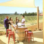 Hook & Ladder Vineyards & Winery