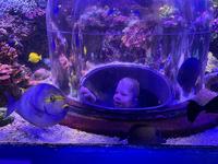 Butterfly House & Aquarium