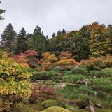 Washington Park Arboretum
