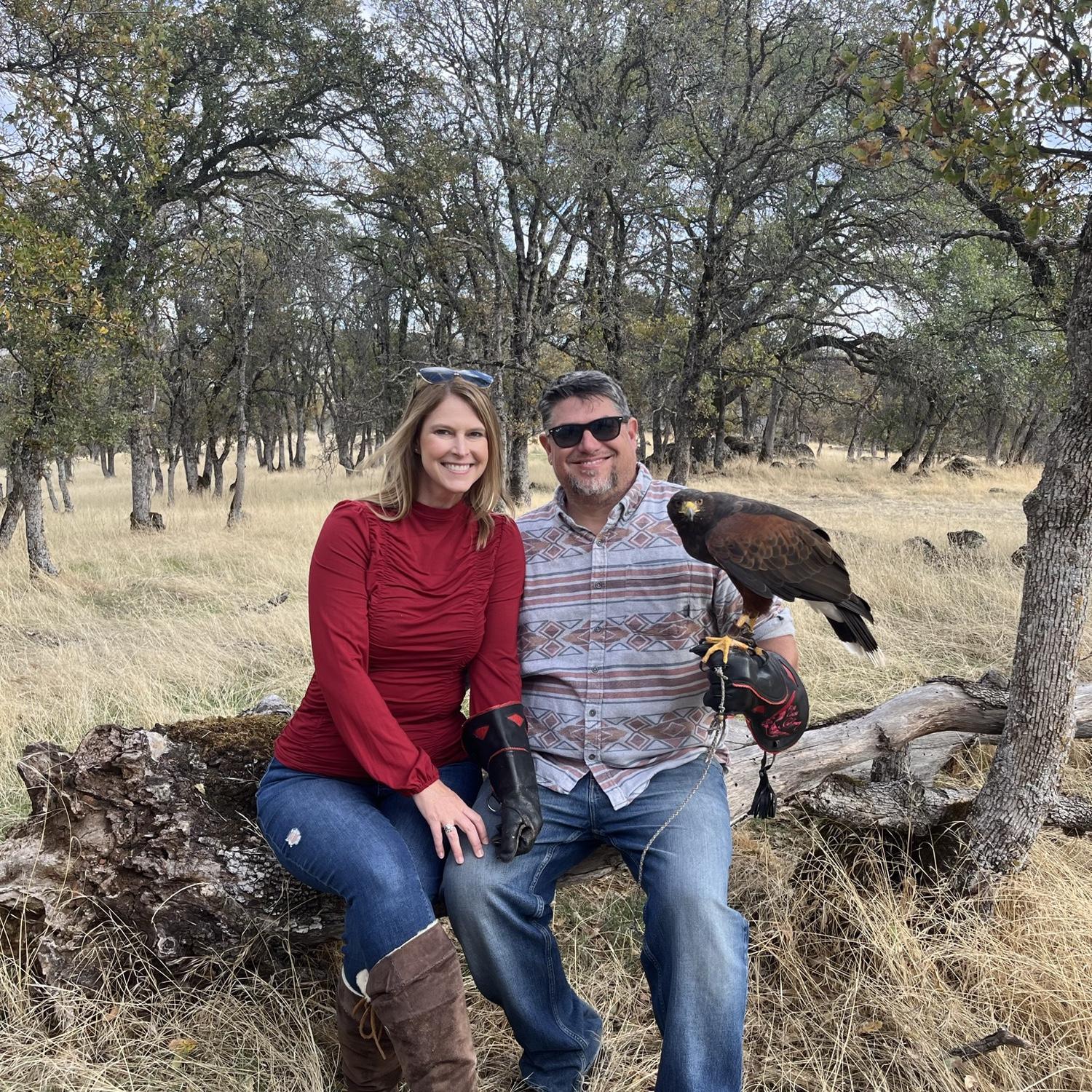 Falconry for my birthday 2023
