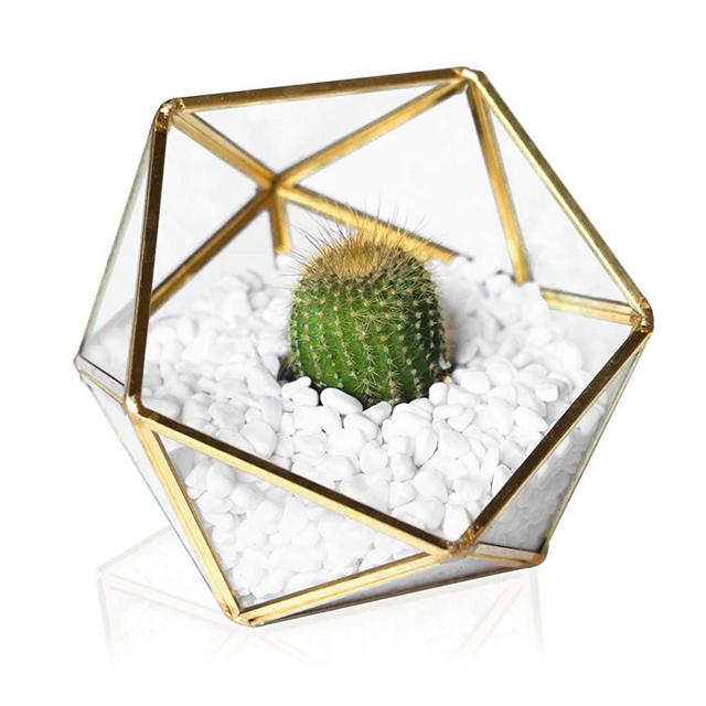 Glass Geometric Terrarium - Succulent Planter - Clear Box for Garden/Outdoor/Indoor/Home Decoration, Wedding Gift, Centerpiece/Candle - Brass Planter/Plant Holder for Tabletop Display (Gold)