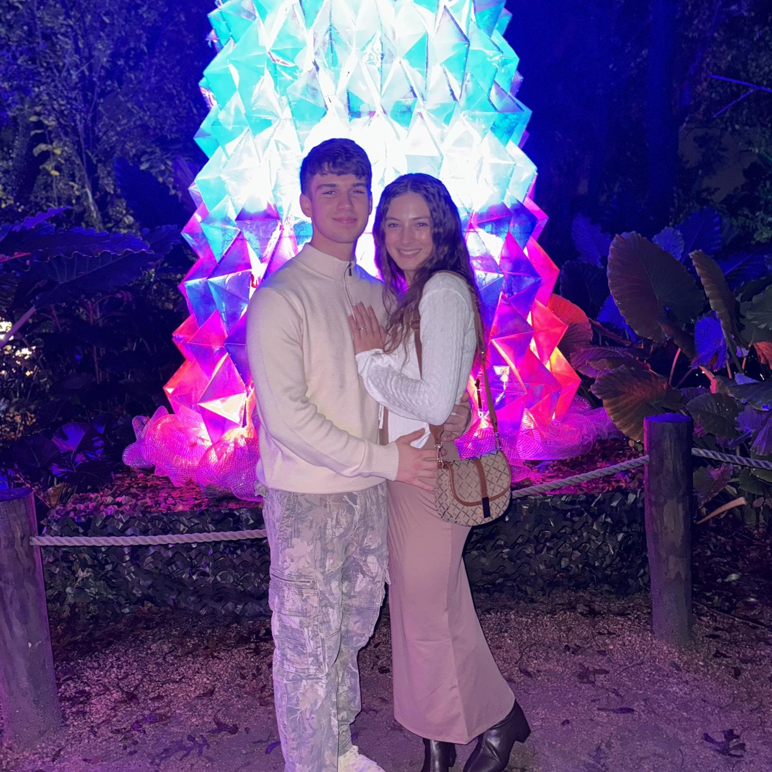 Zoo lights together