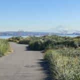 Take a Walk on the Elliott Bay Trail