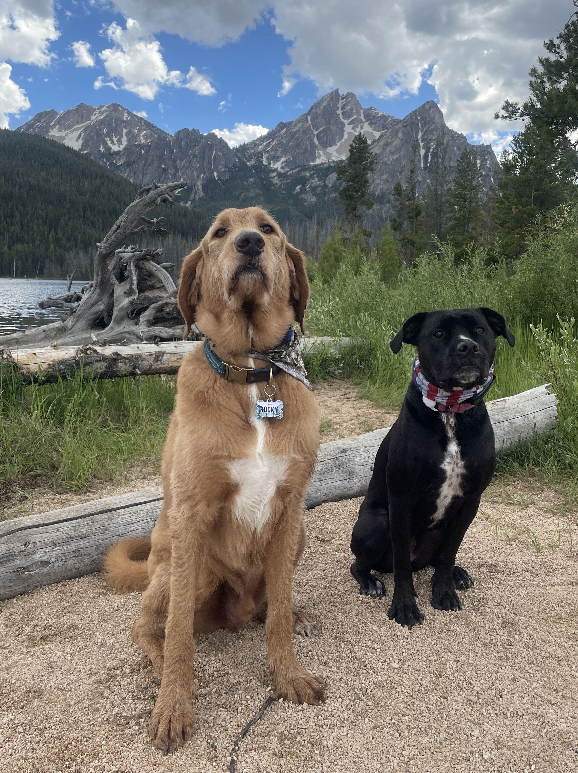 The Wedding Website of Sabrina Sherwood and Brendon Garcia