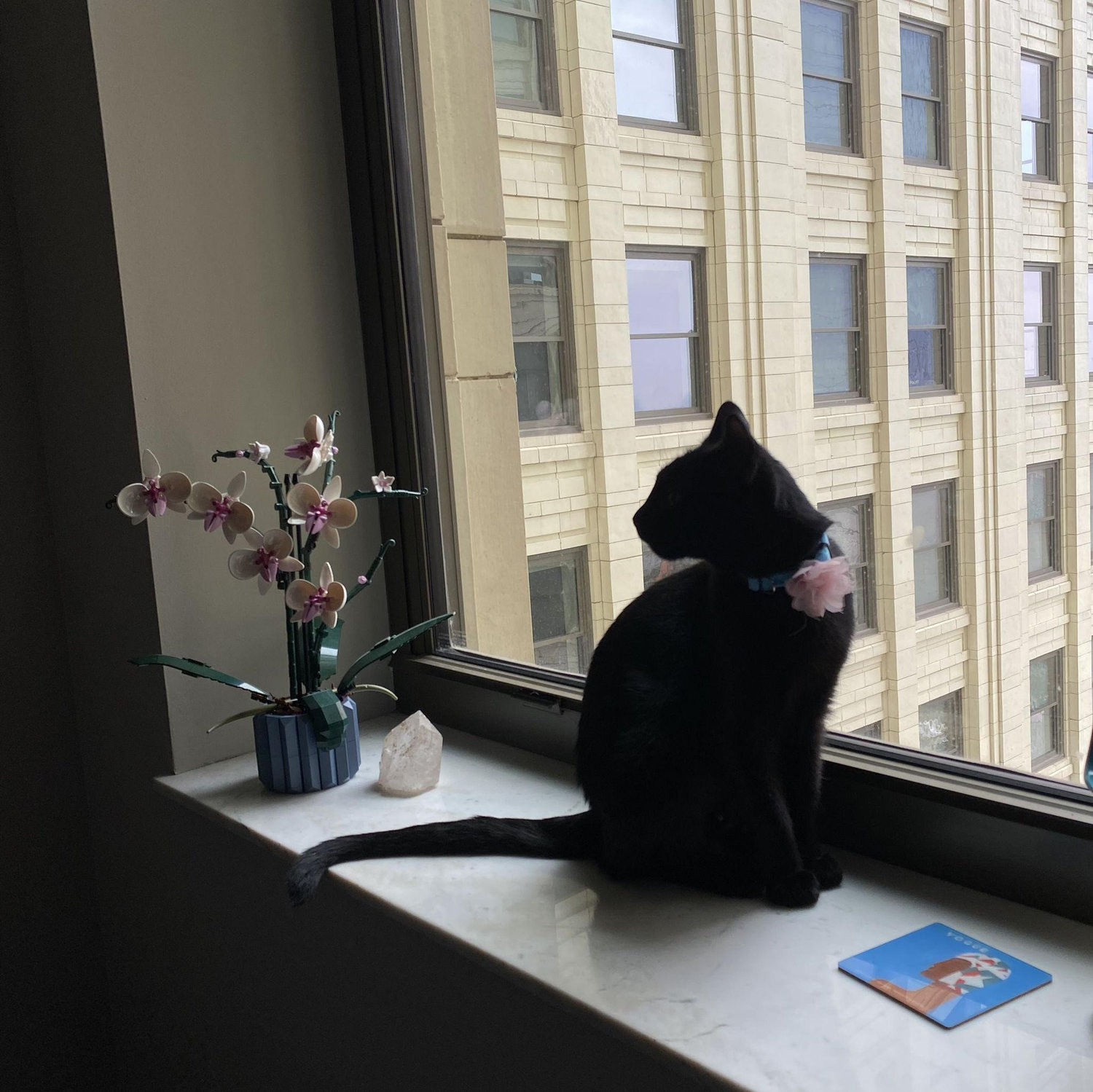2023
We adopted our cat, Eve!