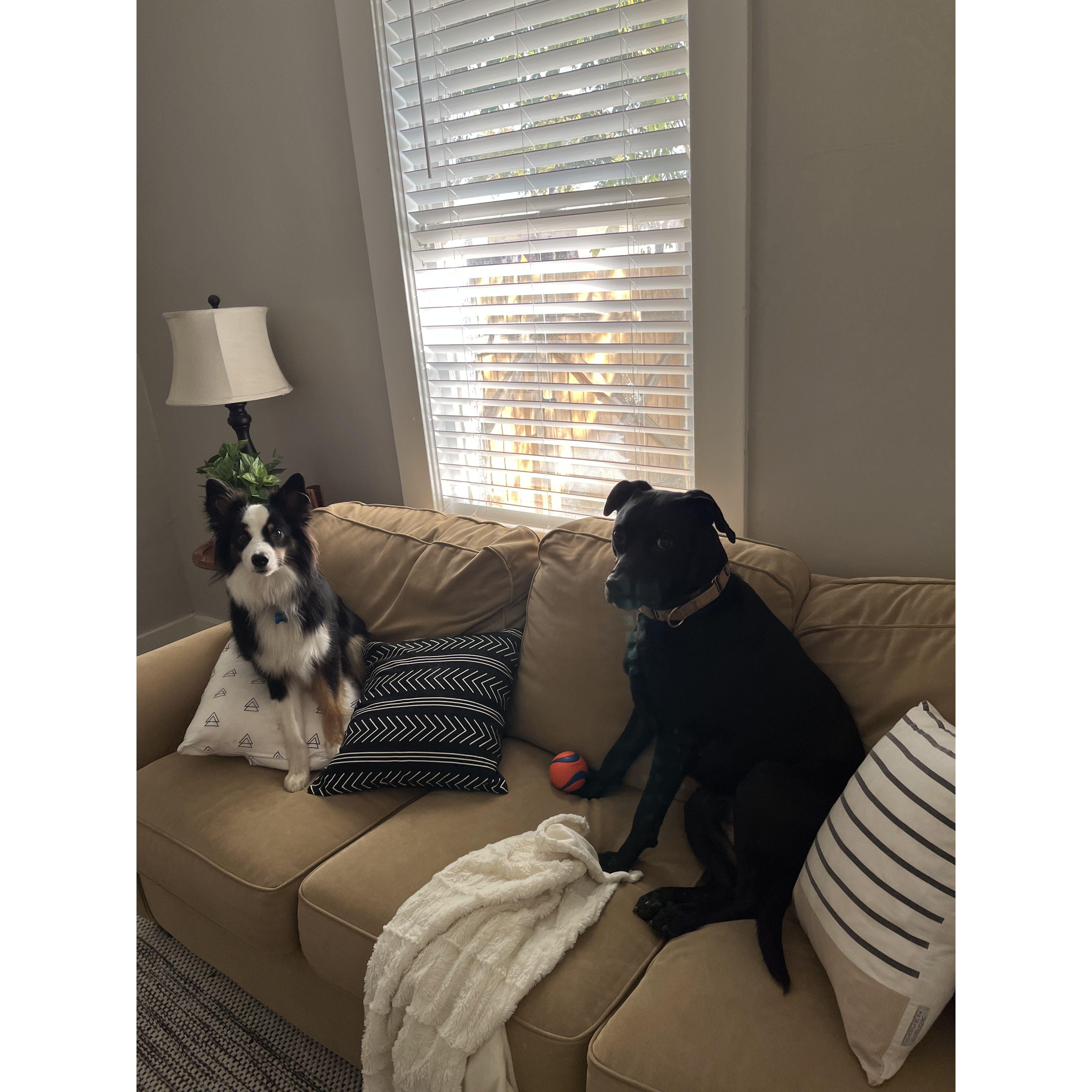 More of August and Goose being best friends, October 9, 2022