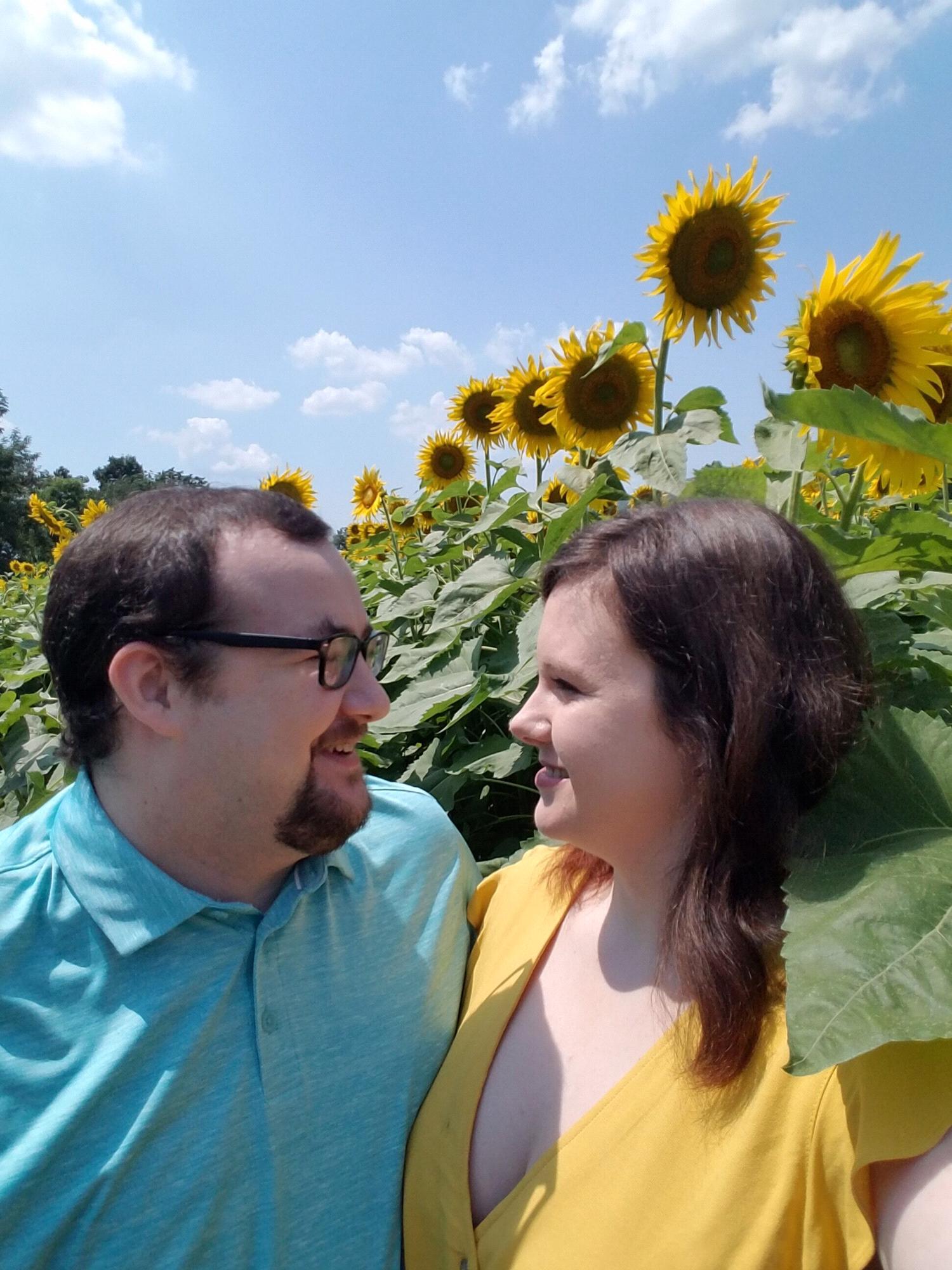 Sunflowers 2019