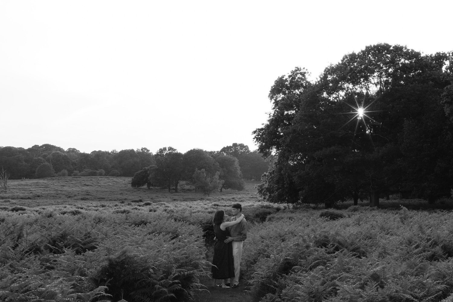 The Wedding Website of Madeline Hayes and Strahinja Spasojevic