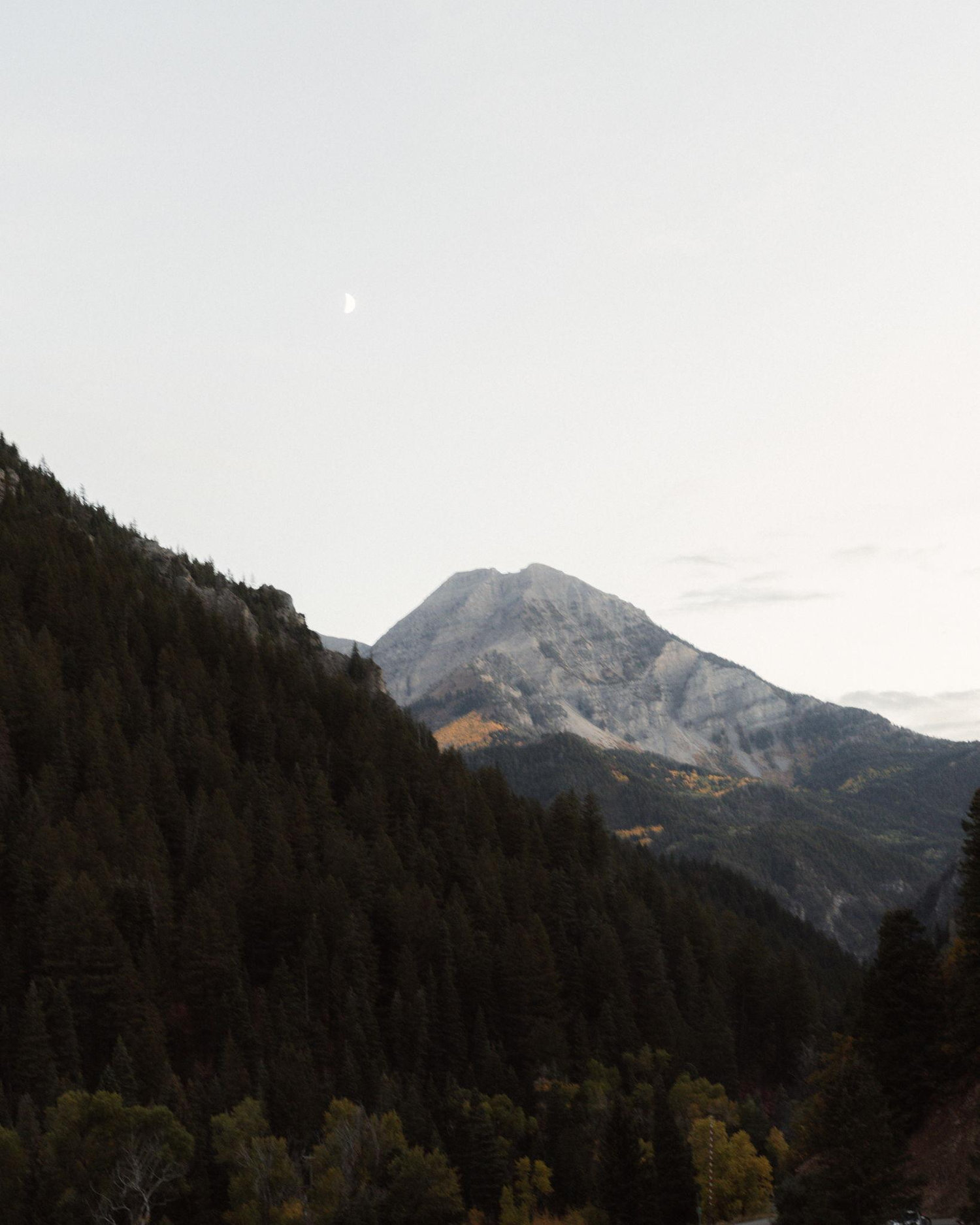 The Wedding Website of Christine Aldana and Tanner Dorrance