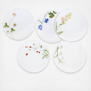 Azuma No Michi 5-Piece Plate Set