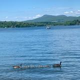 Pontoosuc Lake