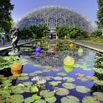 Missouri Botanical Garden