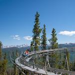 Forest Flyer Mountain Coaster