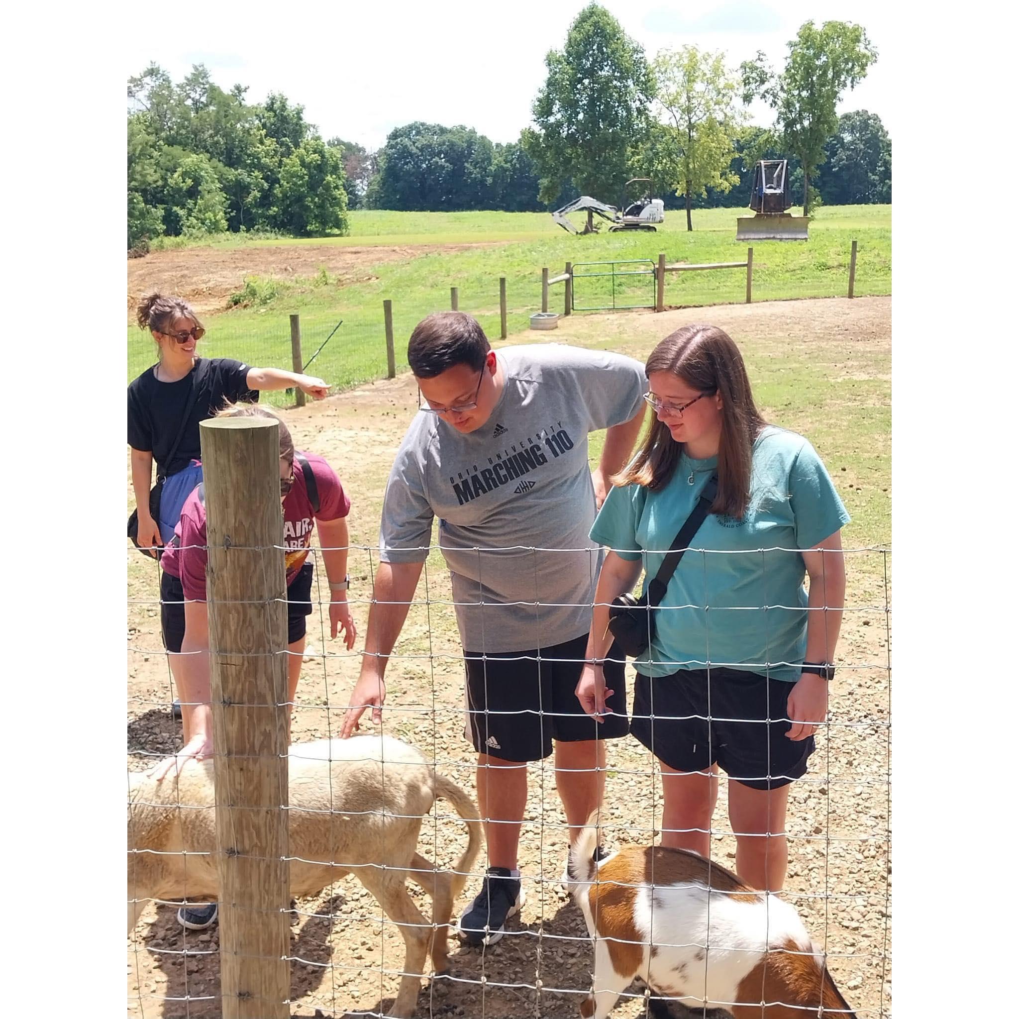 Family Traditions Zoo