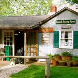 Round Swamp Farm
