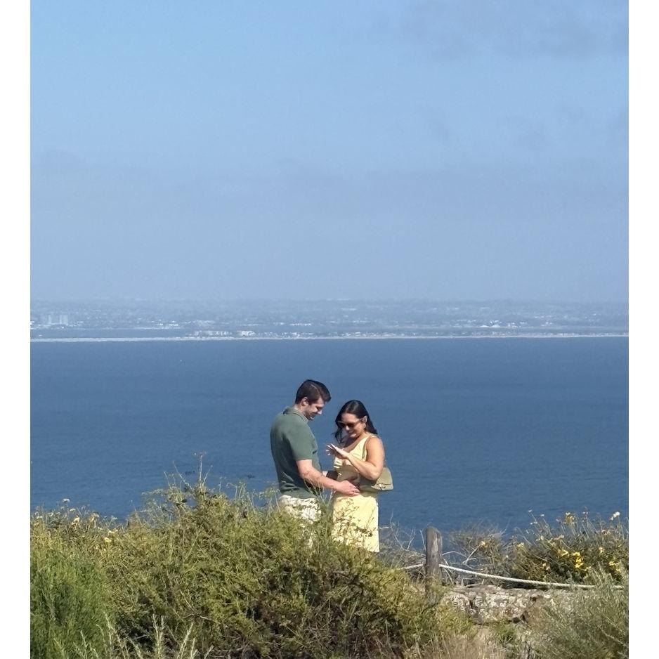 The proposal