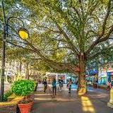 Santana Row