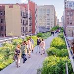 The High Line & Chelsea Market