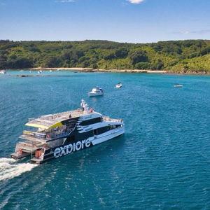 Honeymoon Fund: Tiritiri Matangi Island Cruise