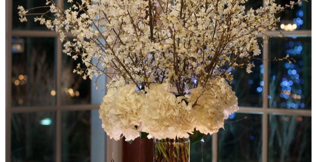 The Wedding Website of Ja’hnette Coleman and Cecil Crawford