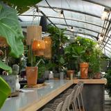 Greenhouse Bar