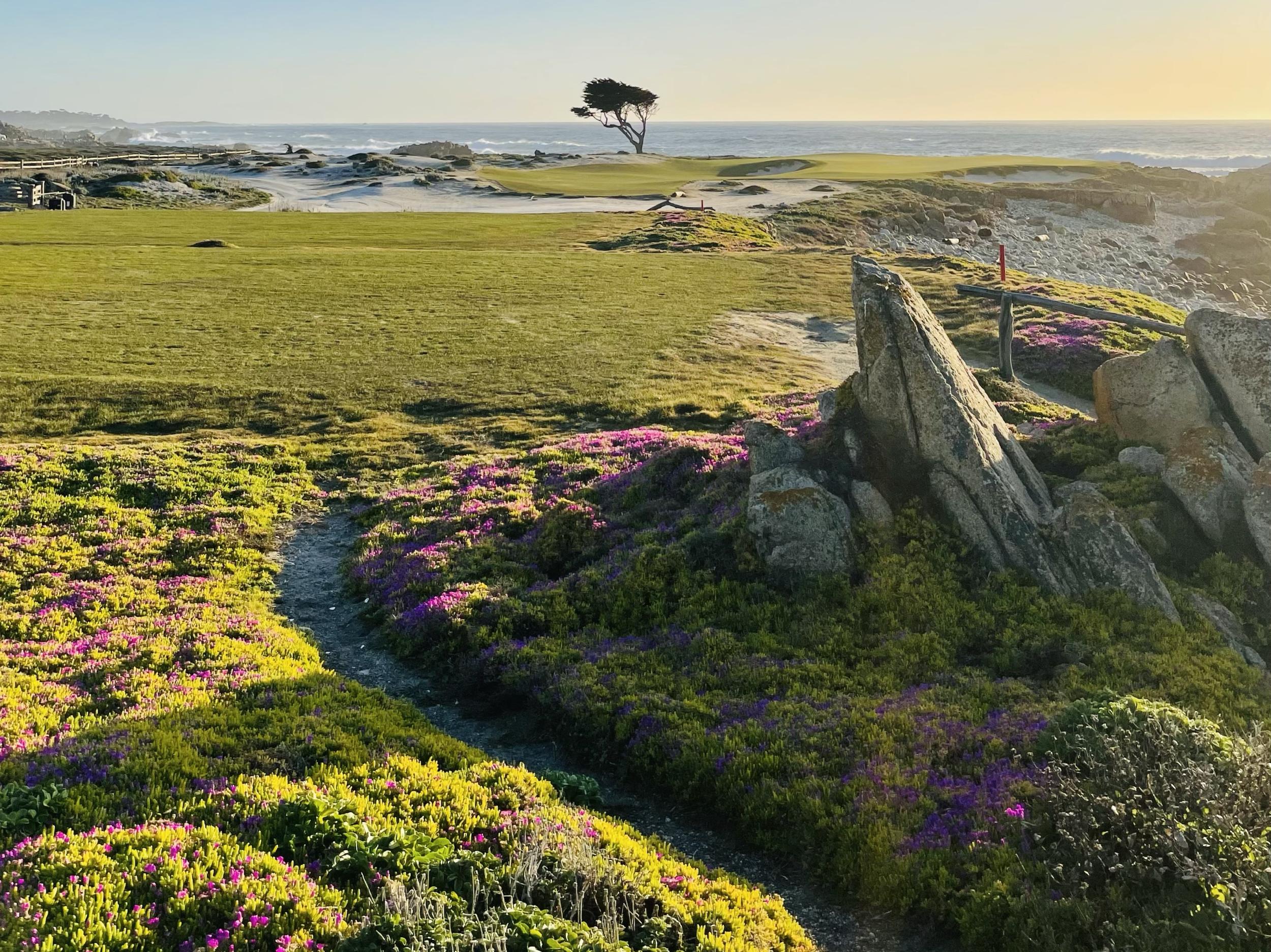 The Wedding Website of Grace Park and Iwan Nyotowidjojo