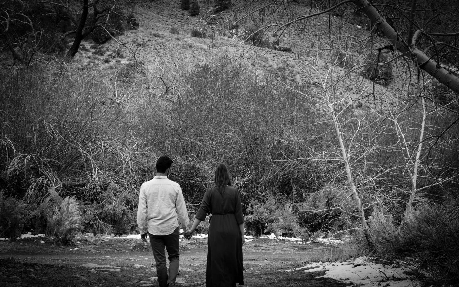 The Wedding Website of Sarah Peterson and Freeman Bird